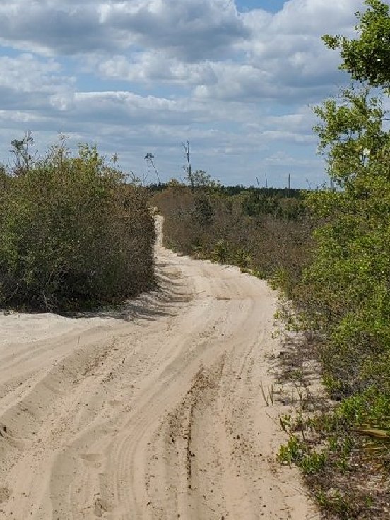Sandy Trail