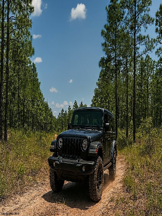 Jeep In Forest