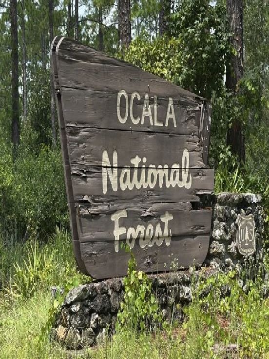 Ocala National Forest